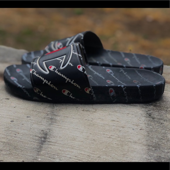Champion Slides - Picture 3 of 3